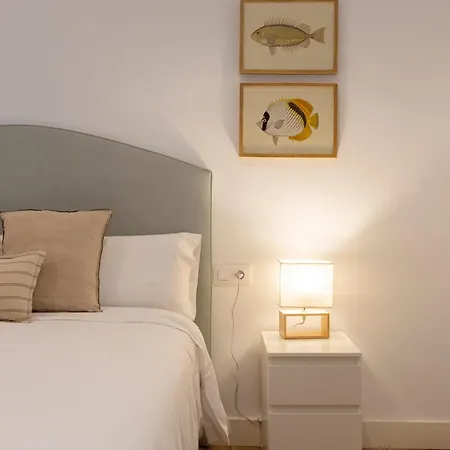 Apartamentos El Patio Plaza De Santa Clara - Con Vistas En El Casco Historico Daire